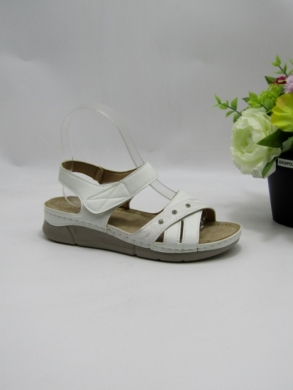 Sandały damskie na płaskim (36-42) 21292-8