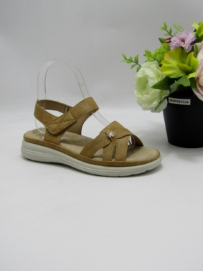 Sandały damskie na płaskim (36-42) 21284-5
