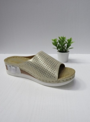 Klapki damskie na koturnie (36-41) N22-881 GOLD