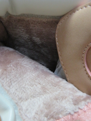 Trapery damskie ocieplane (36-41) 9501 PINK