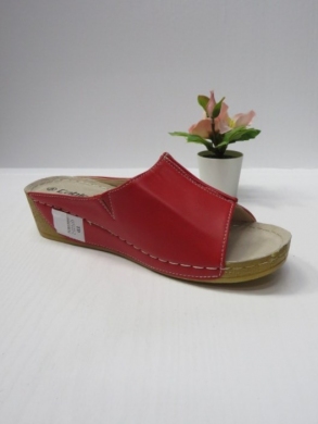 Klapki damskie na koturnie (36-41) Q7122-2 BROWN