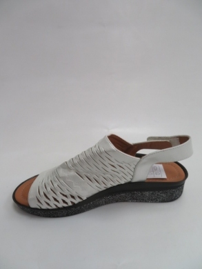 Sandały damskie na płaskim (36-41) 947L-5