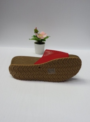 Klapki damskie na koturnie (36-41) DM-18 RED