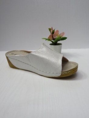 Klapki damskie na koturnie (36-41) C9901-12A SILVER