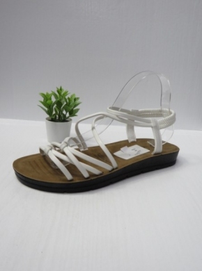 Sandały damskie na płaskim (36-41) 559-13 WHITE