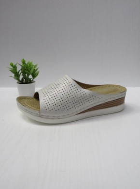Klapki damskie na koturnie (36-41) N22-881 SILVER