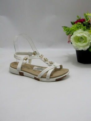 Sandały damskie na płaskim (36-41) FY7050 WHITE