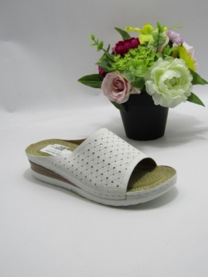 Klapki damskie na koturnie (36-41) N24-1067 WHITE