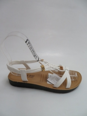 Sandały damskie na płaskim (36-41) FY6889 WHITE