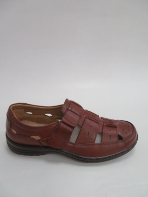 Półbuty Męskie (40-46) 2603-2 BROWN