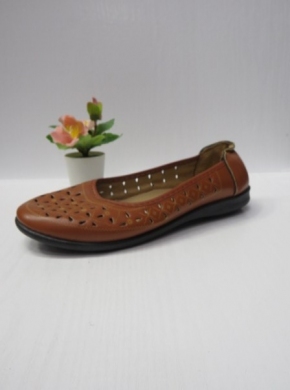 Baleriny damskie (37-42) HC2029 BROWN