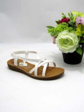 Sandały damskie na płaskim (36-41) N2903-2