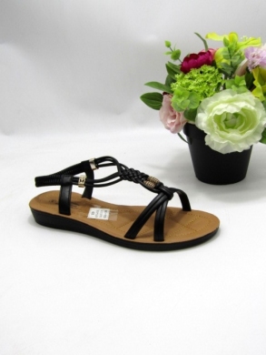 Sandały damskie na płaskim (36-41) 6075-4 BLACK