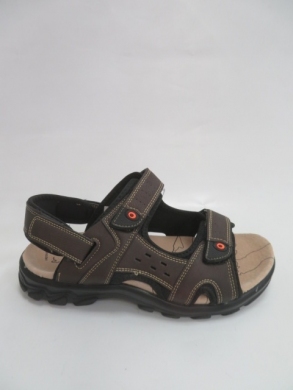 Sandały męskie (40-46) 7998-2 COFFE