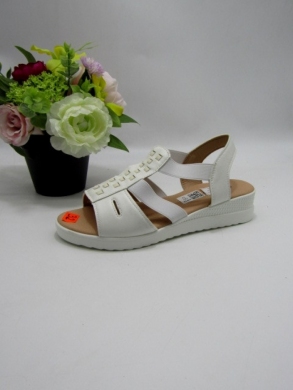 Sandały damskie na płaskim (36-41) TY23105 WHITE