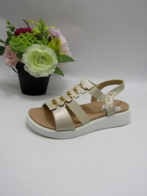 Sandały damskie na płaskim (36-41) TW23106 GOLD
