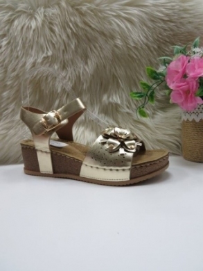 Sandały damskie na koturnie (36-41) TL8-102 GOLD
