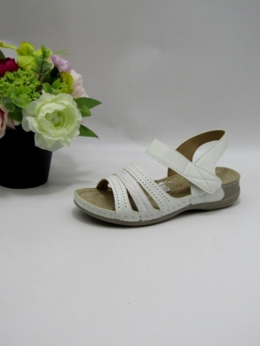Sandały damskie na płaskim (36-42) 21005-8 WHITE