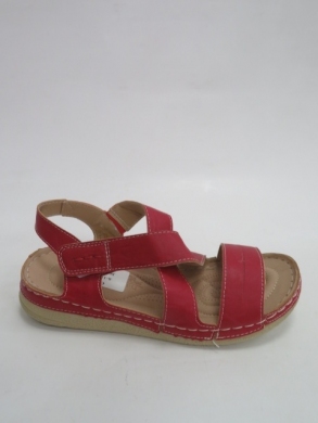 Sandały Damskie Sportowe (36-41) A-11 RED