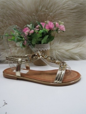 Sandały damskie na płaskim (36-41) SF-81 GOLD