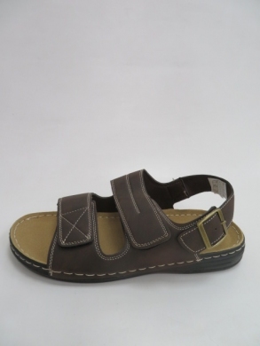 Sandały Męskie (40-46) K8-301 COFFE