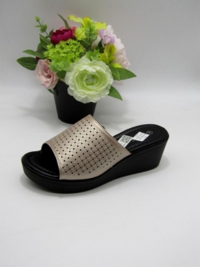 Klapki damskie na koturnie (36-41) TW23083 GOLD