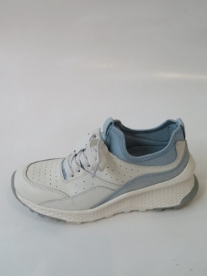 Sportowe Damskie na koturnie (36-41) GD-FT-72 WHITE/NAVY