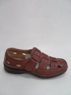 Półbuty męskie -skórzane (40-46) 2603-2 BROWN