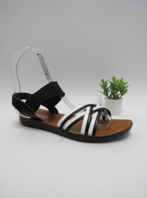 Sandały damskie na płaskim (36-41) W312 WHITE
