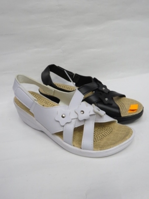 Sandały damskie na płaskim (36-41) FXA806-1 MIX